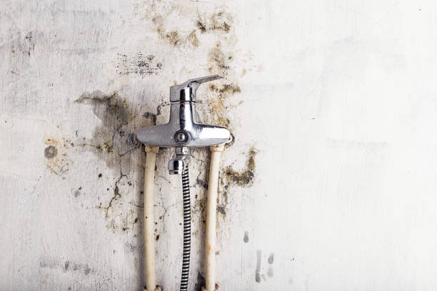 Best Water Damage Restoration  in Boonville, NC