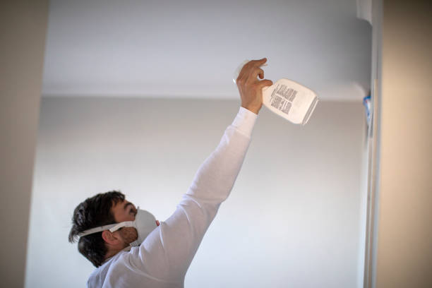 Best Mold Removal and Inspection  in Boonville, NC