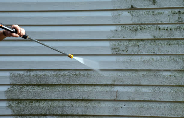 Mold Testing and Removal in Boonville, NC