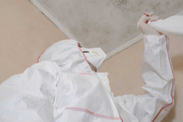Best Mold Testing  in Boonville, NC