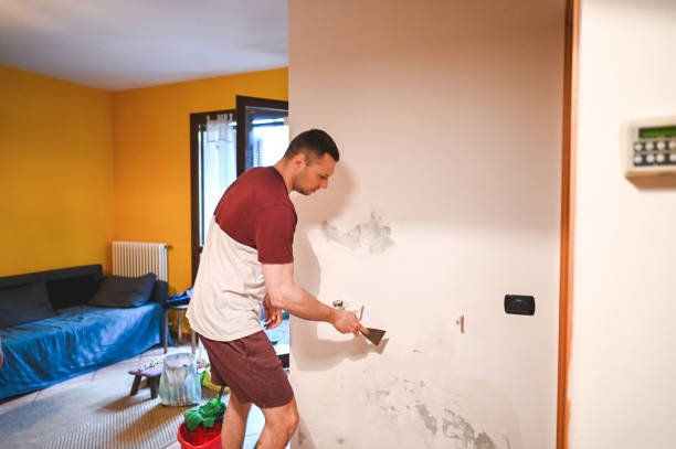 Best Emergency Mold Removal  in Boonville, NC
